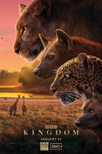 Царство животных